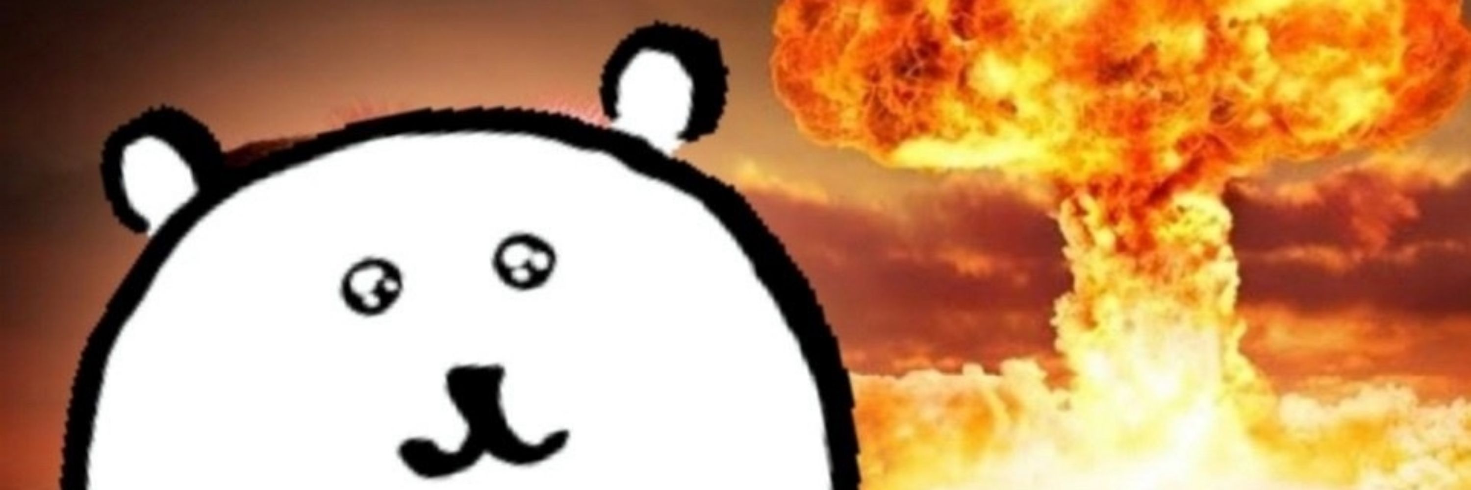 비디비스
