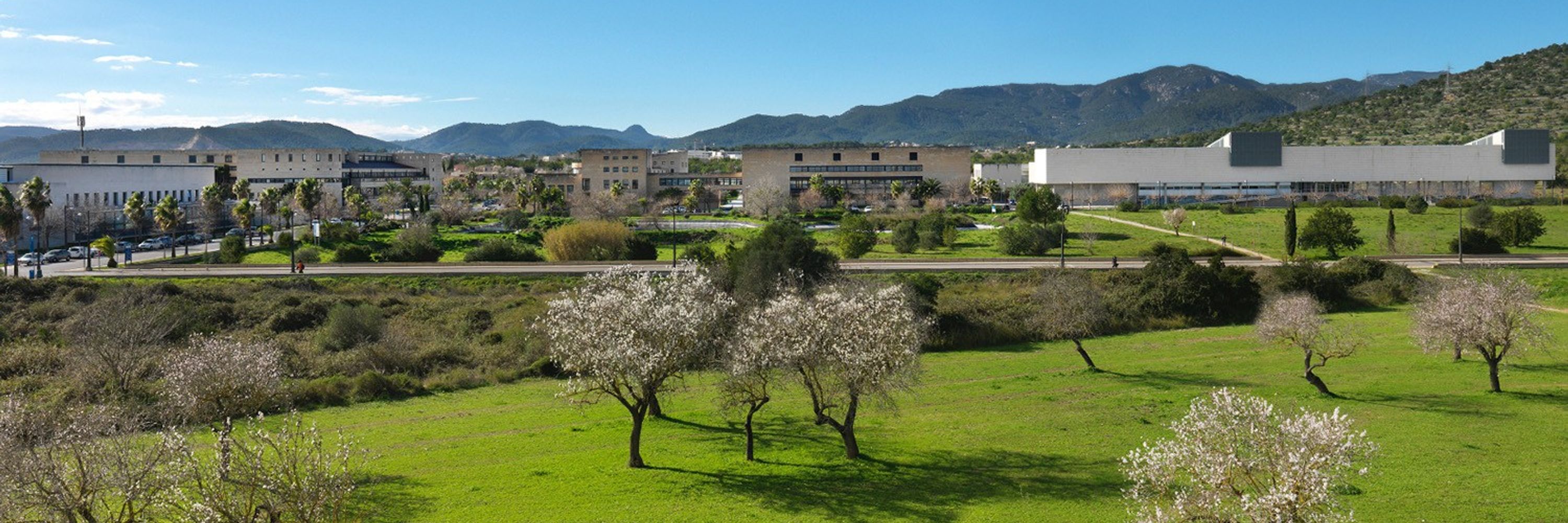 Joan Pons