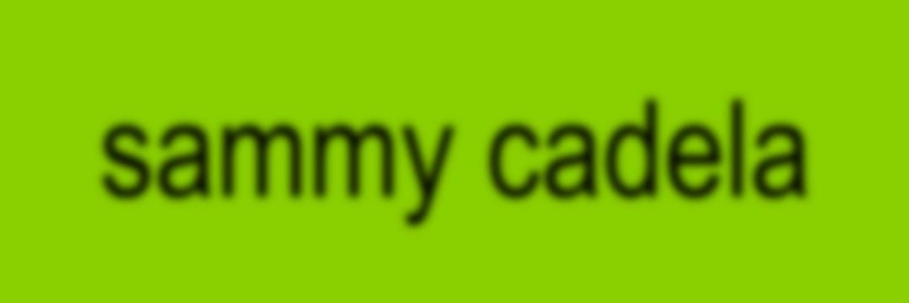 sæmmy 𑁍