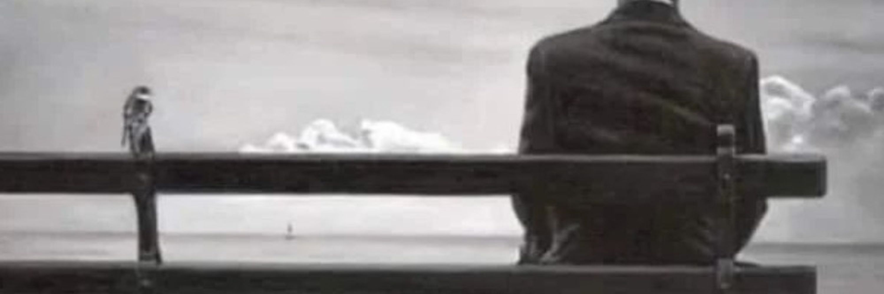 محب ايبو 