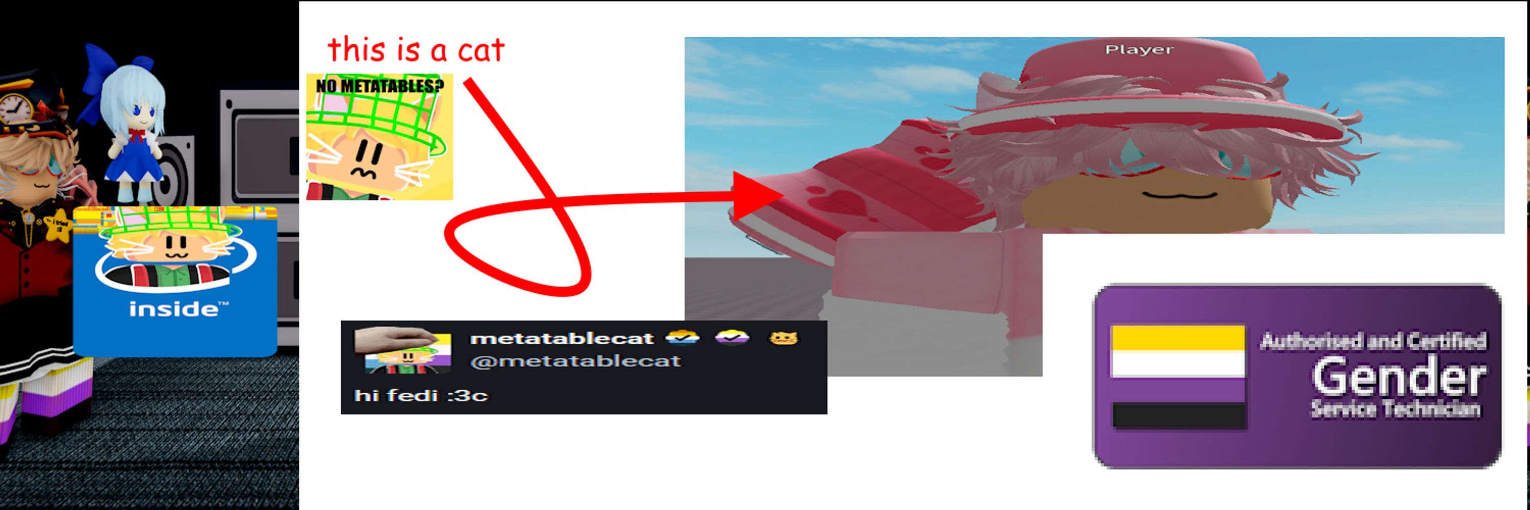 metatablecat :3 :verifiedenby: :verifiedaroace:
