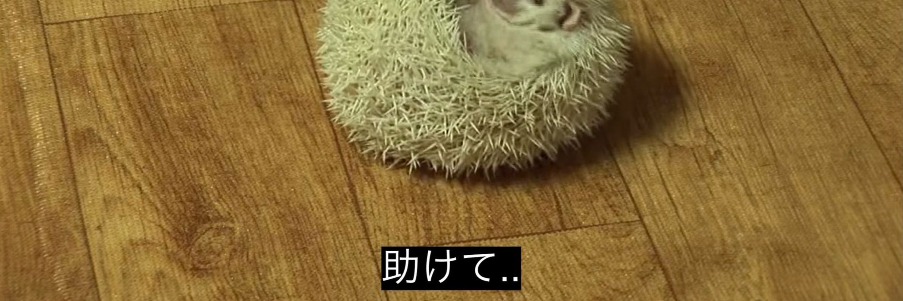 フランスパン