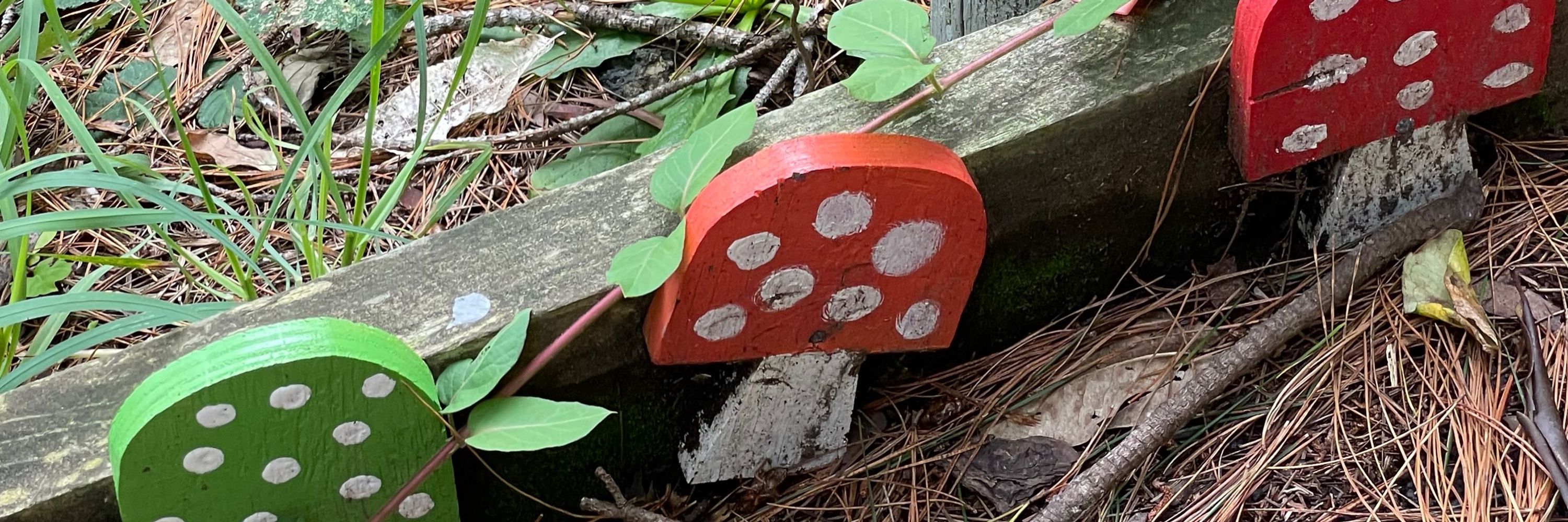 The Owl Hive