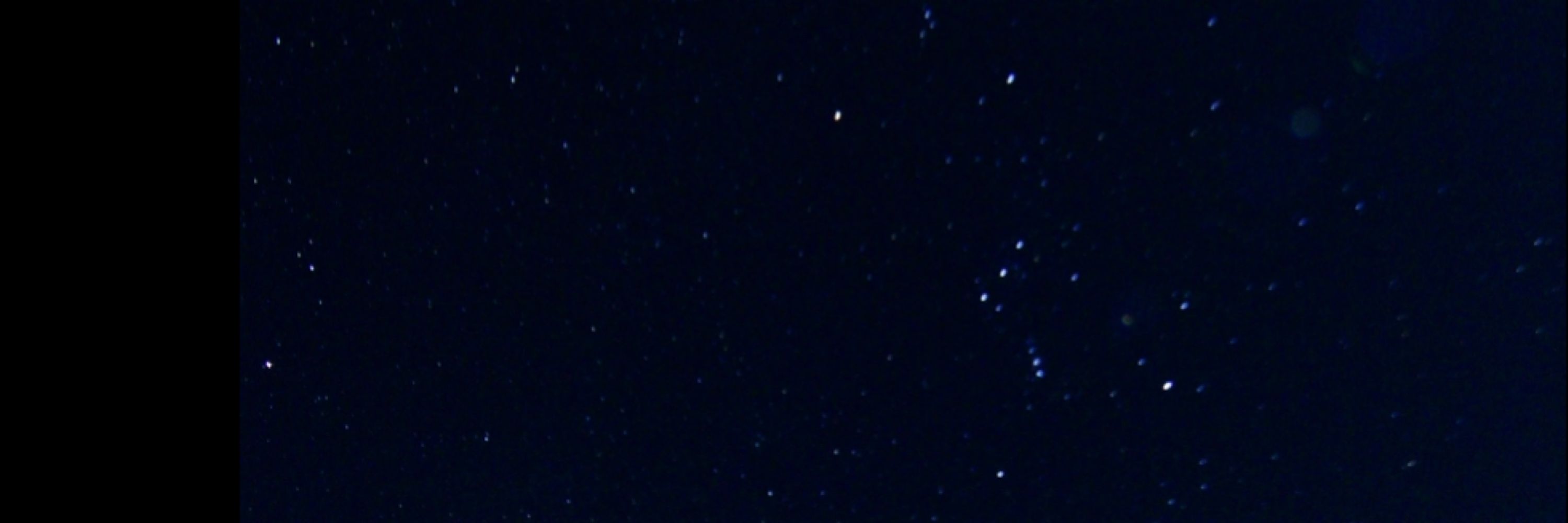 Betherblue