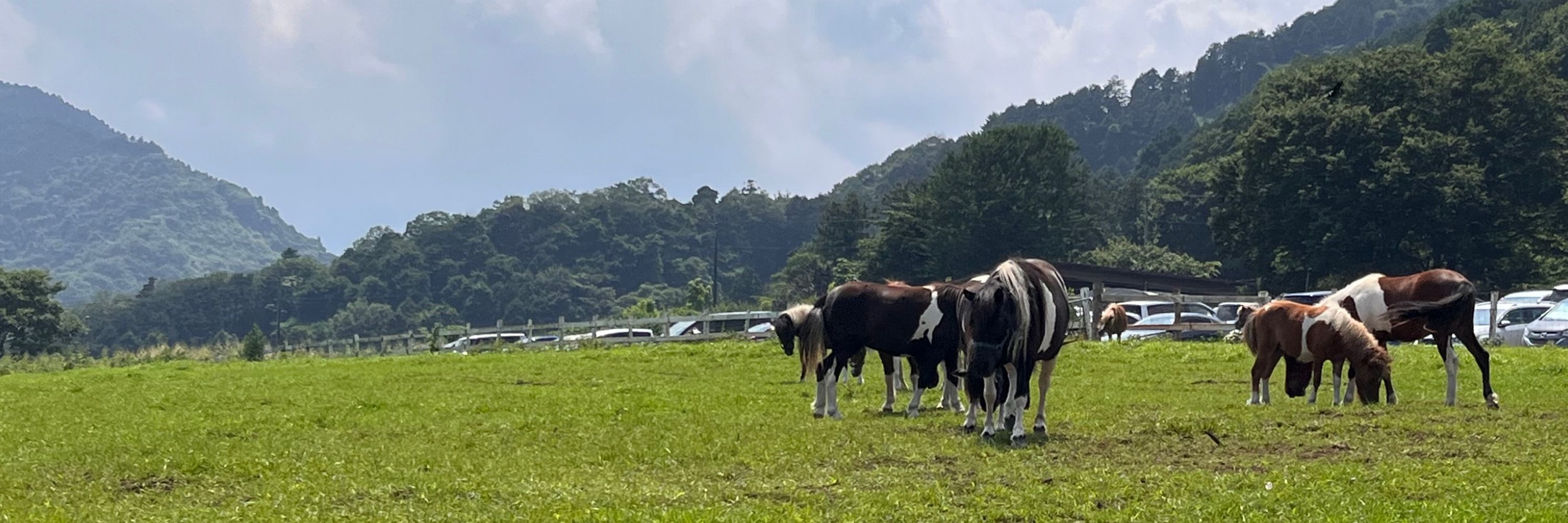 なっちんまる