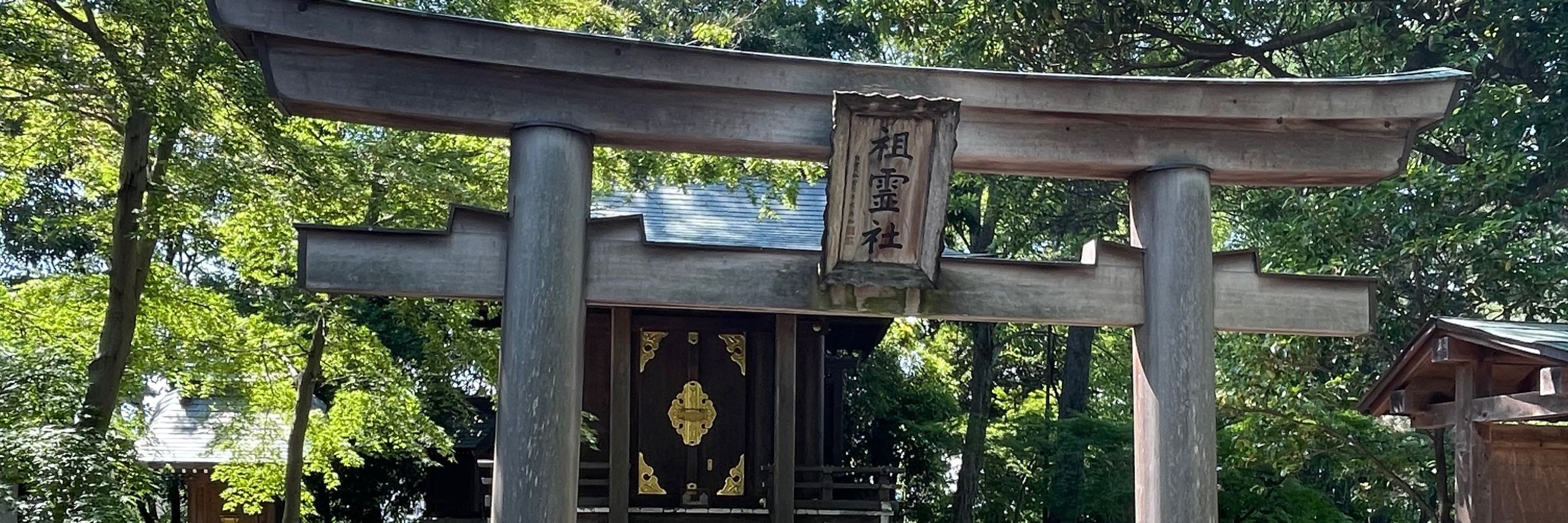 ねこかもめ@"仇討桜の救済譚"連載中