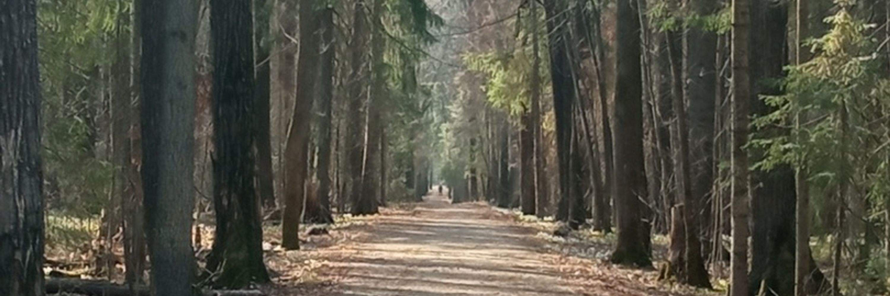 Xenonov🦌
