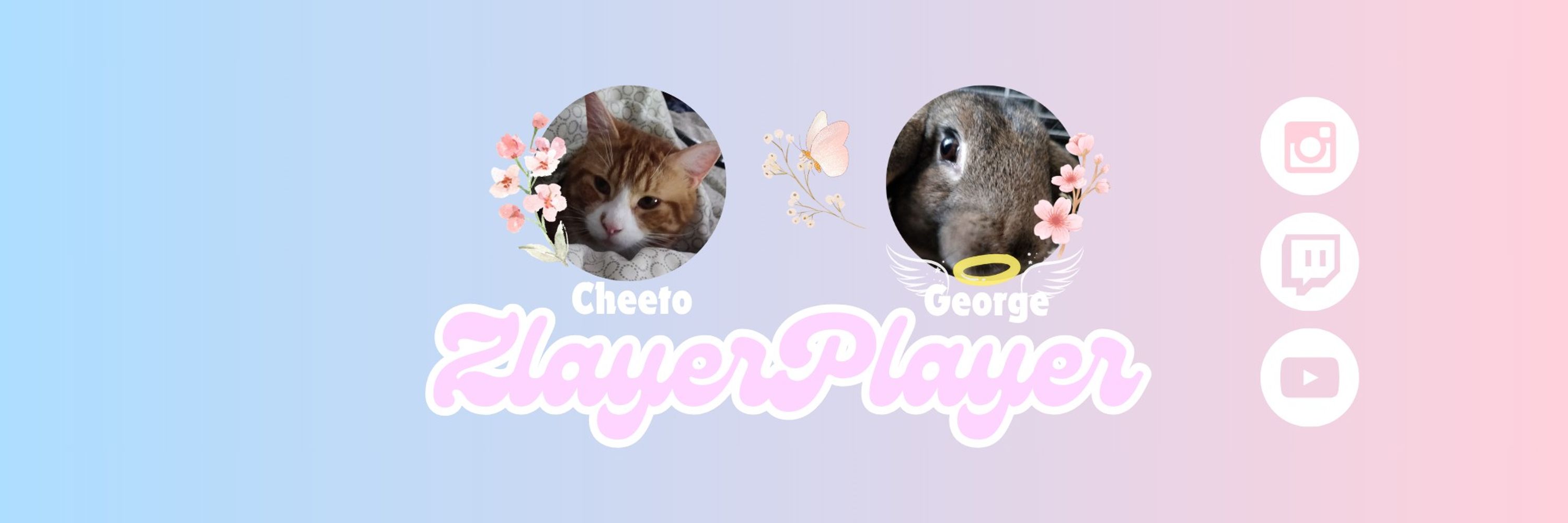 ZlayerPlayer