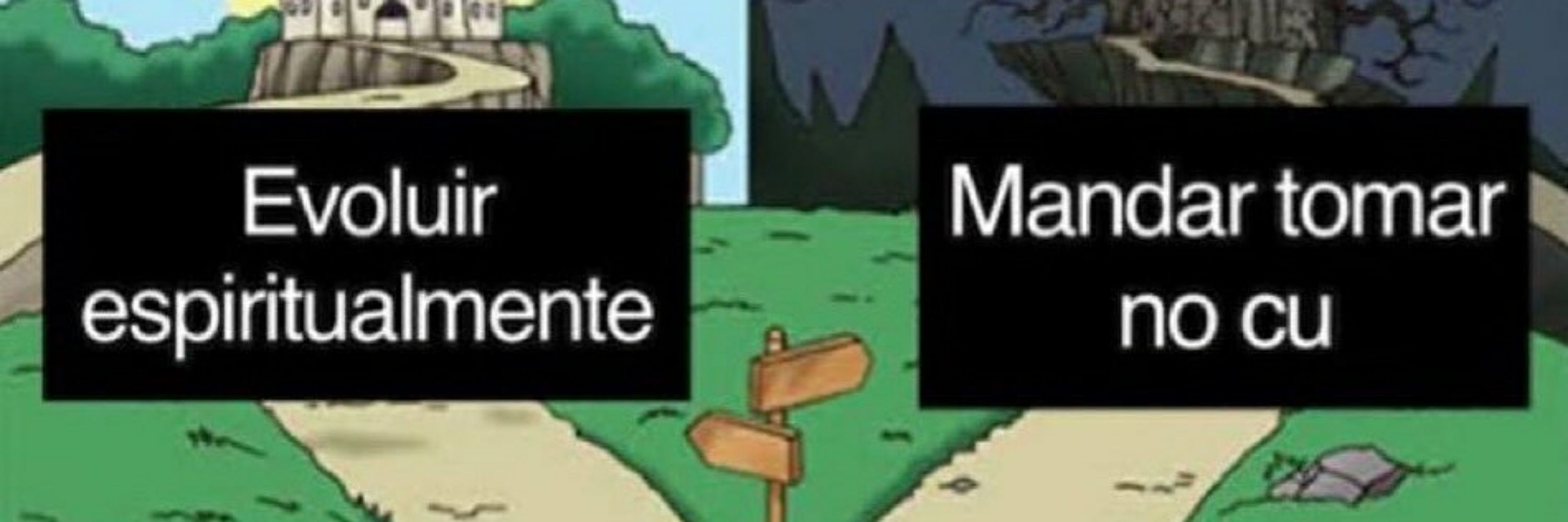 Aniele 