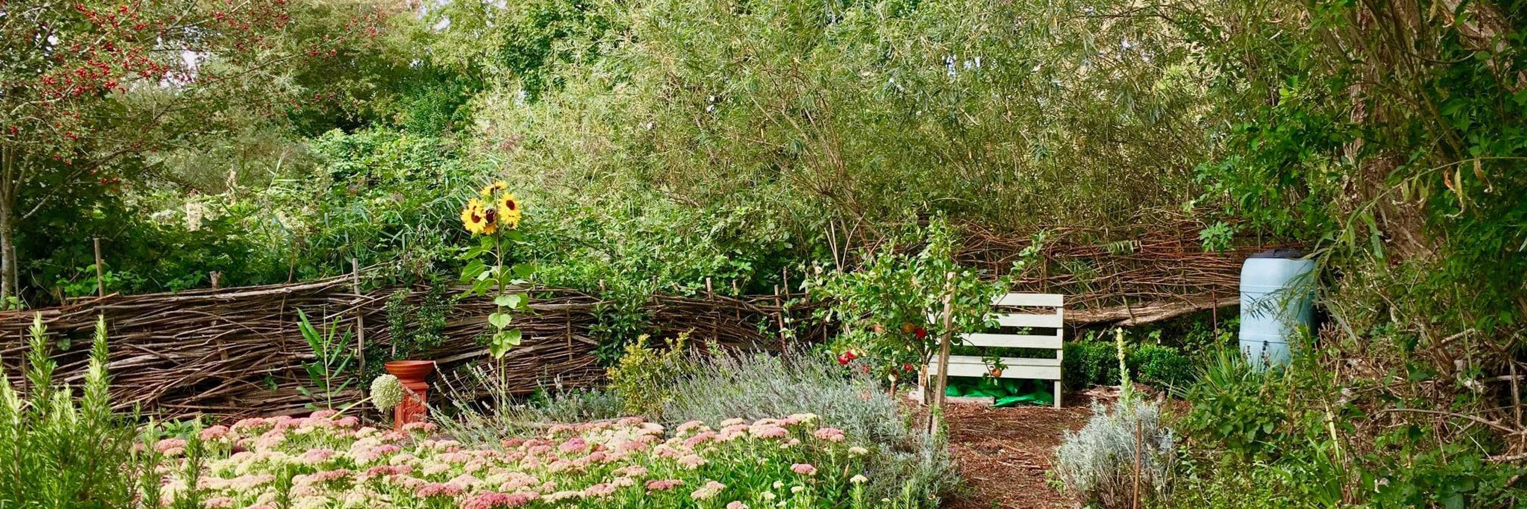 Pevensey & Westham Community Forest Garden