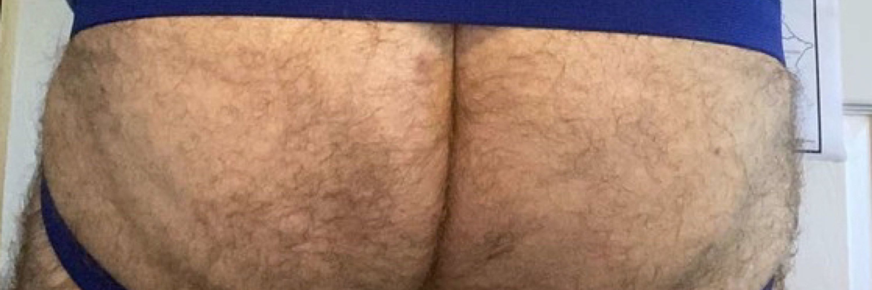 AtlPolarBear