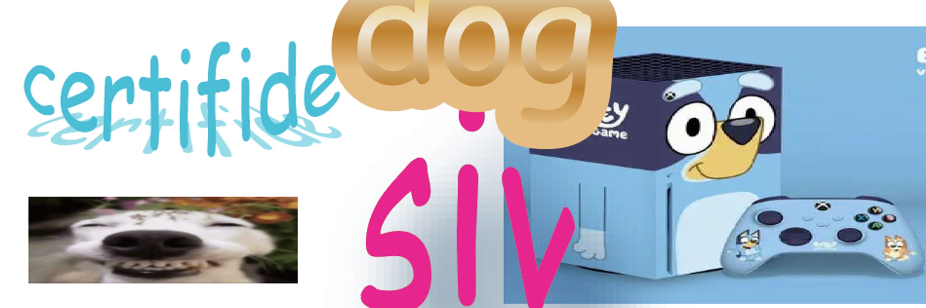 S I V 🏳️‍🌈🏳️‍⚧️🐶