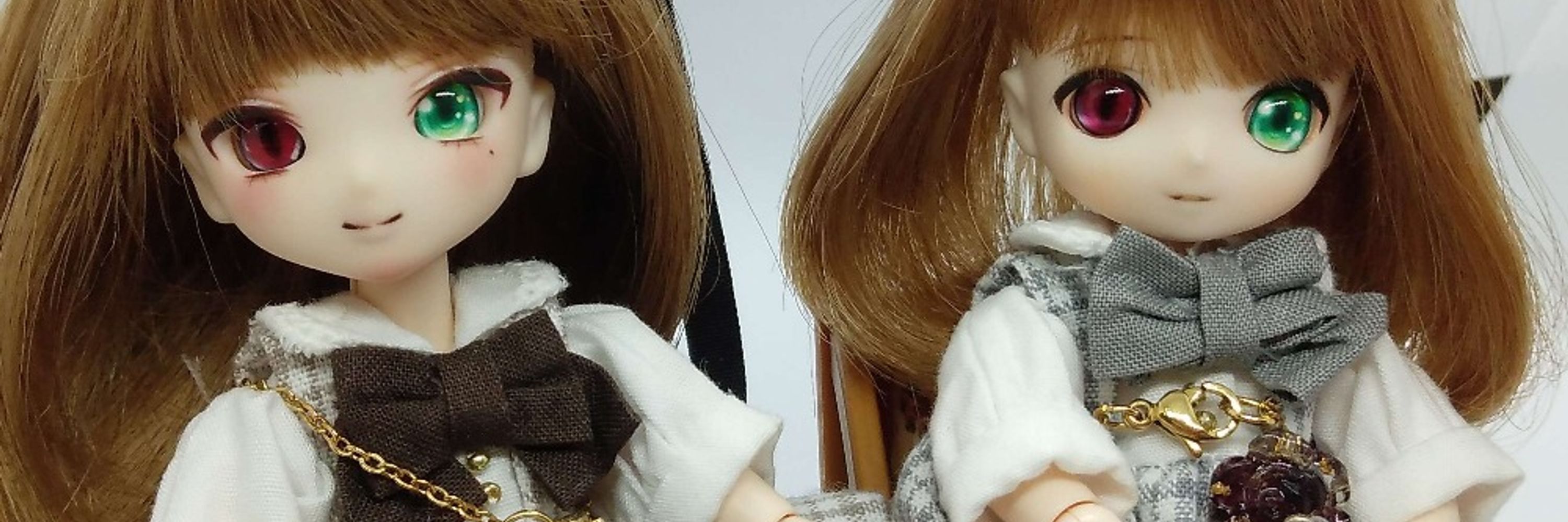 ネリネ