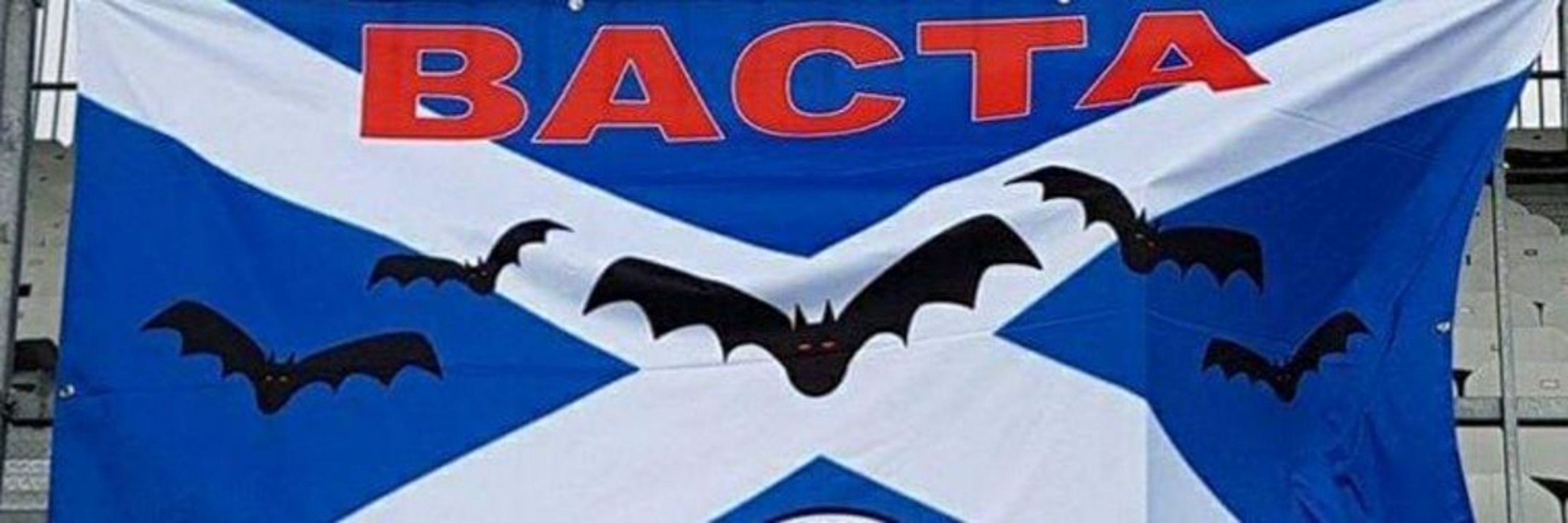 BACTA 🦇