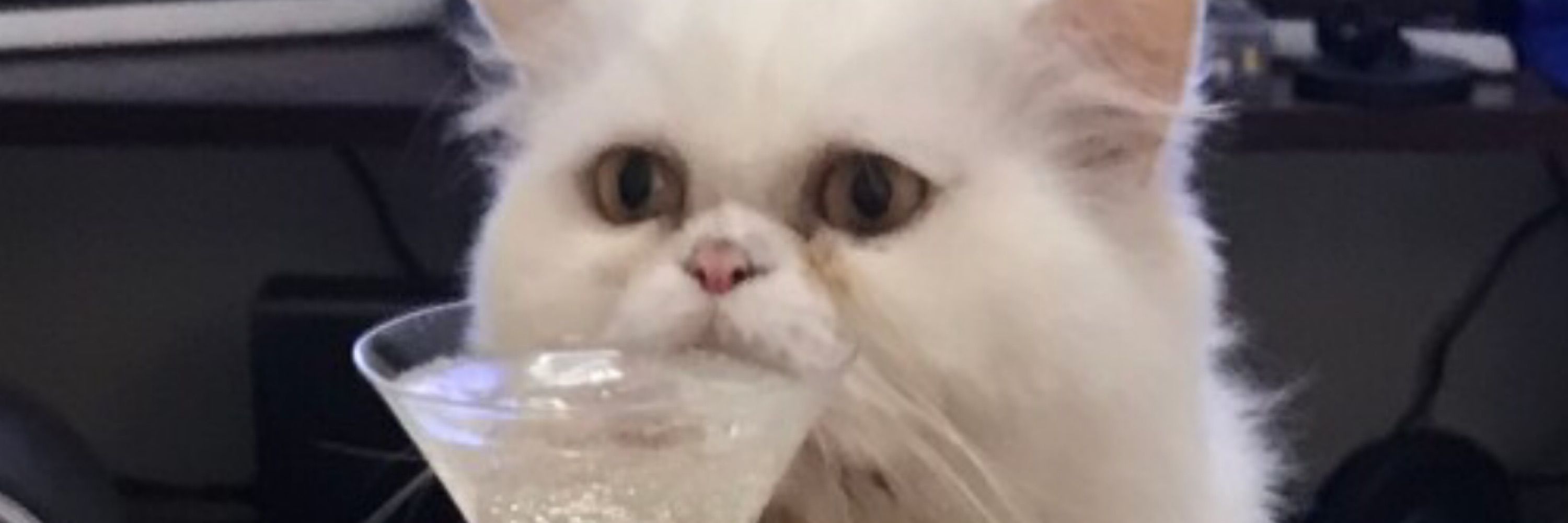 มต