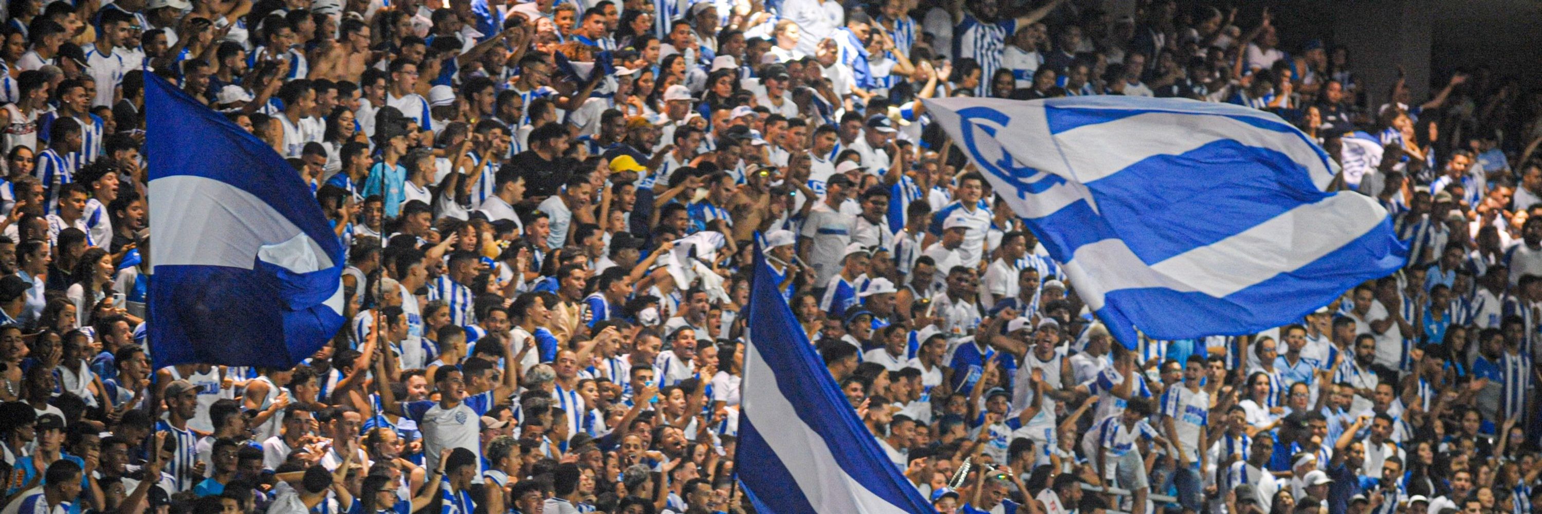 Sou CSA