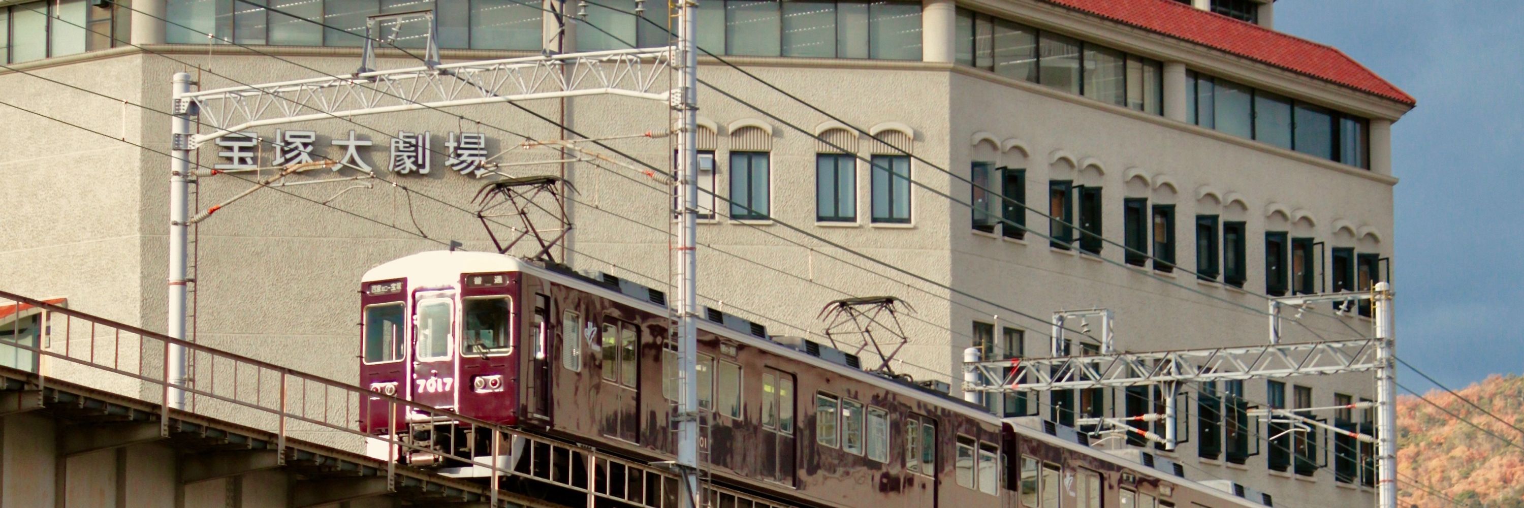 もよ蔵