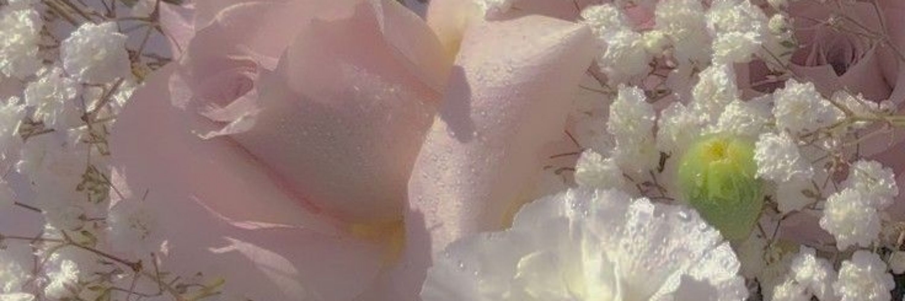 °•♡ Honie