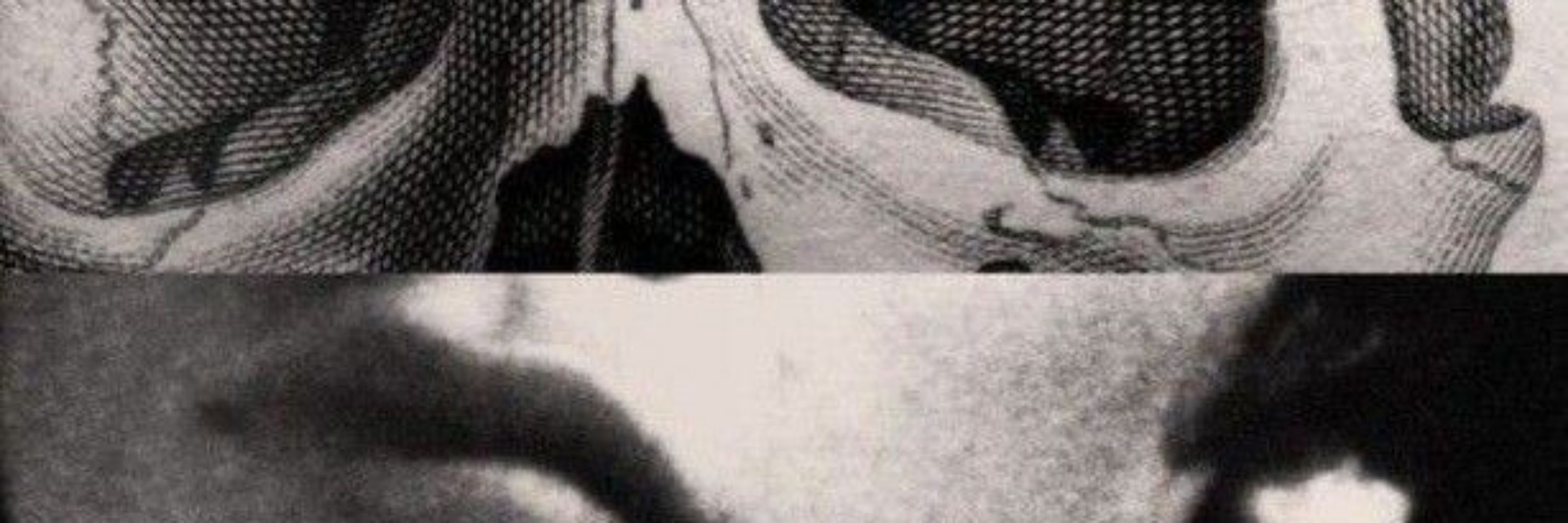 azrael ⚢ ˚. 