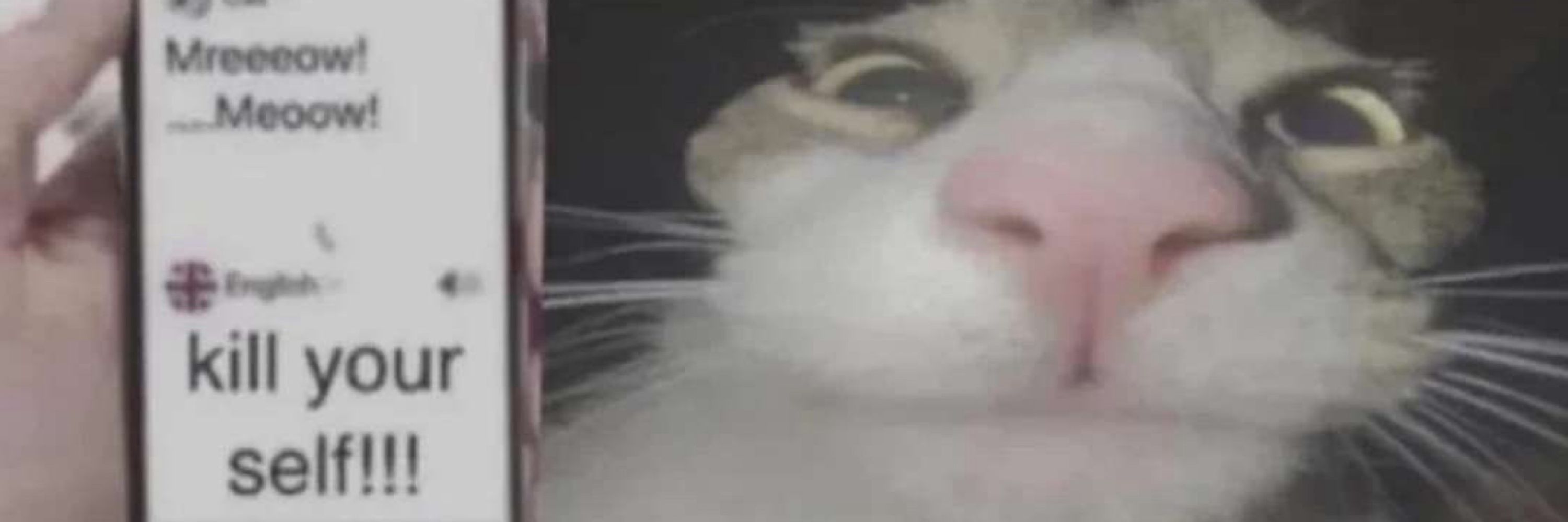 Kami