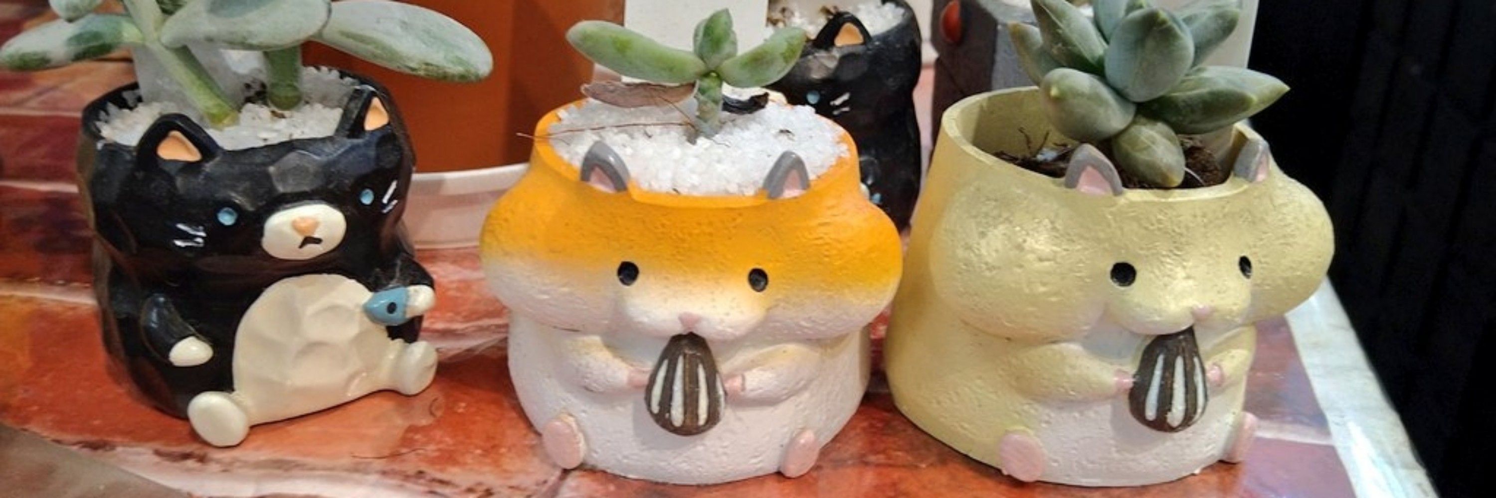 幻獣民(はむすたのすがた)
