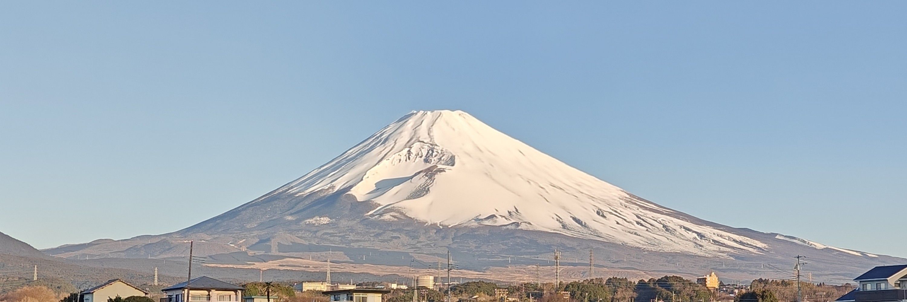 tori