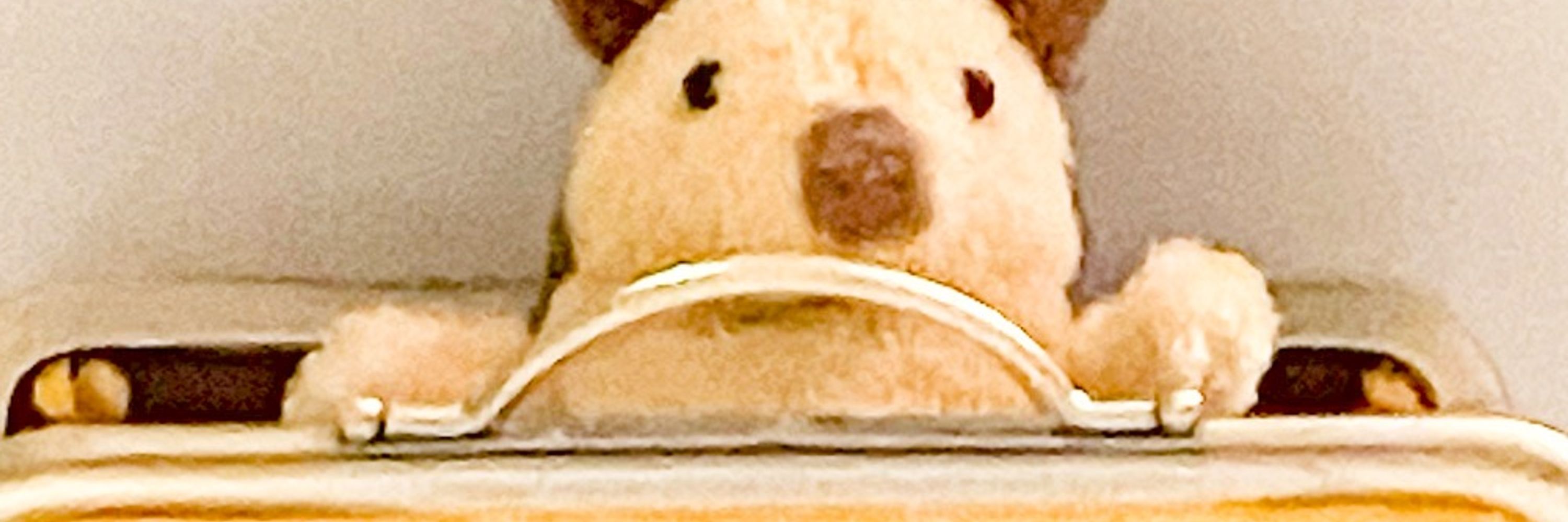 ぎんぺーのしっぽ