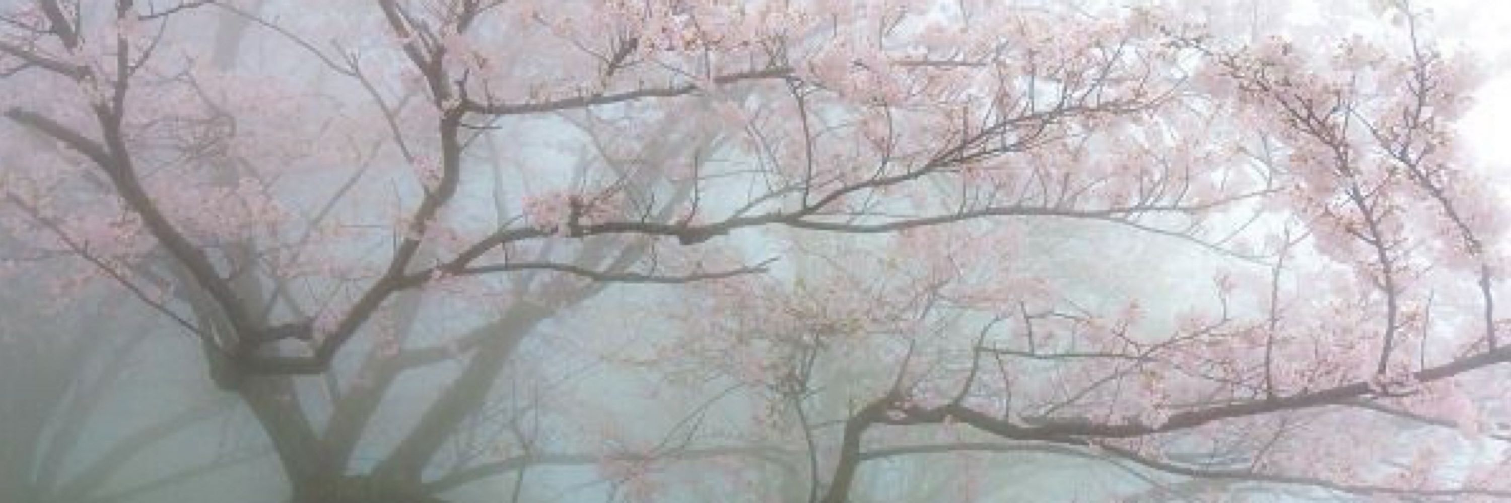 # ruan mei ）