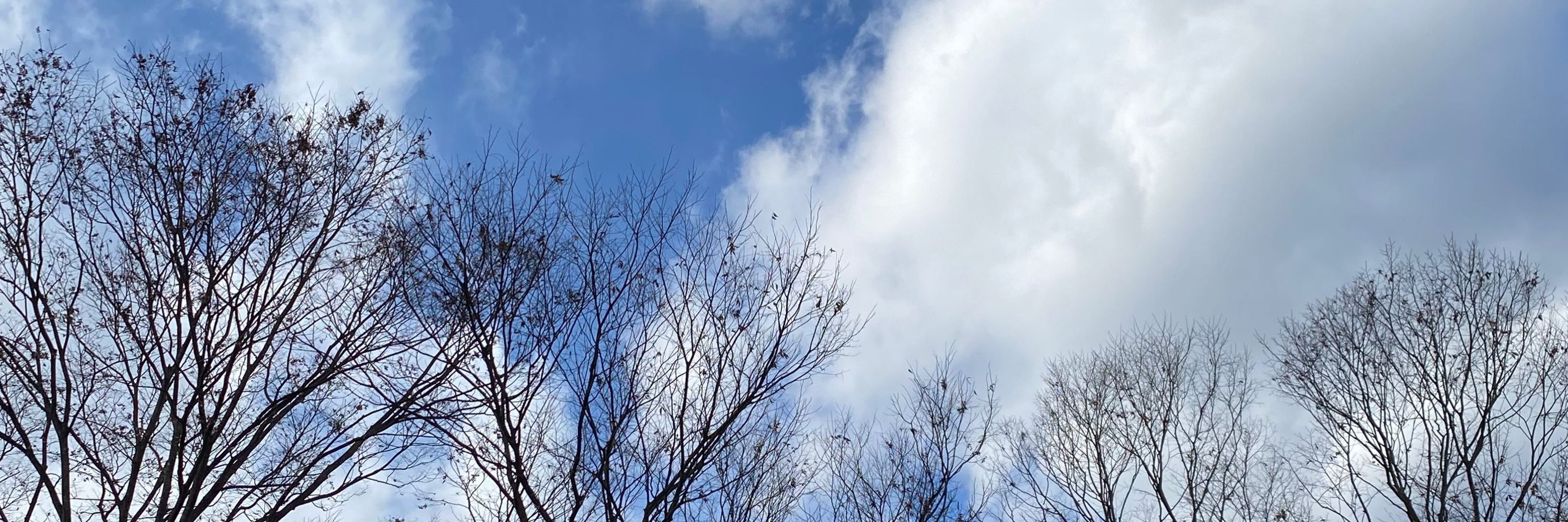 栗🌰