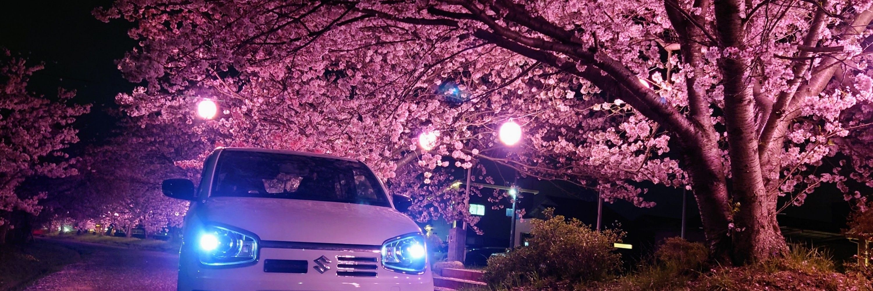 ヌマホ氏