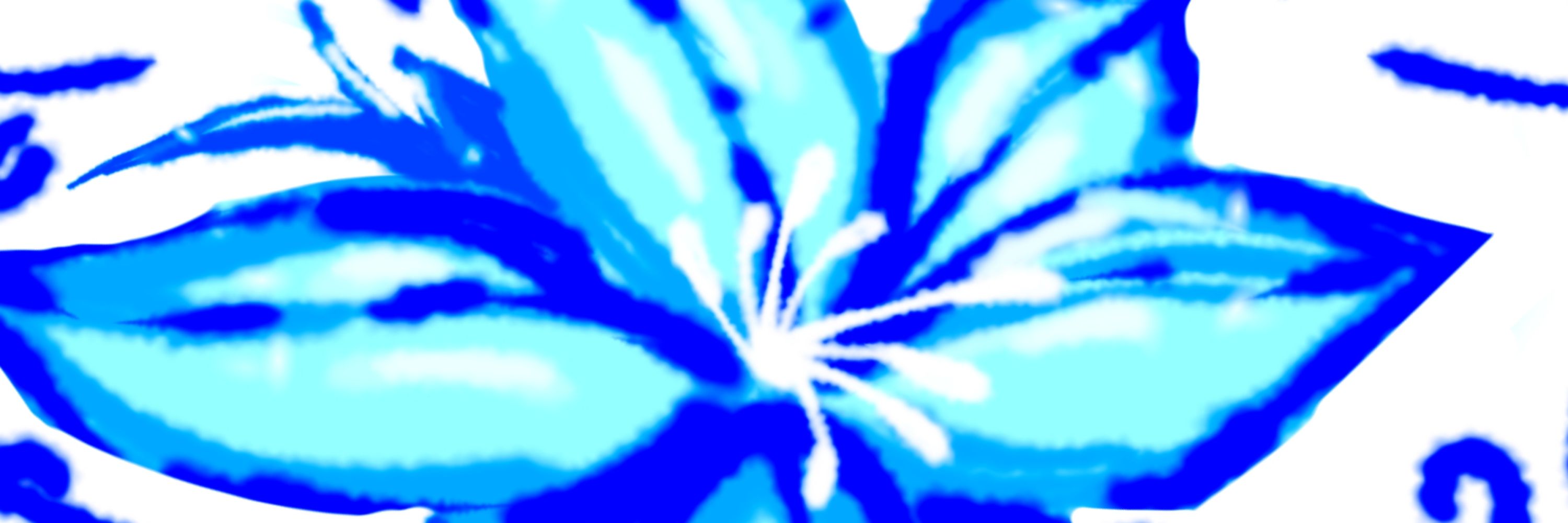 ✧❄️シキシマオ❄️✧