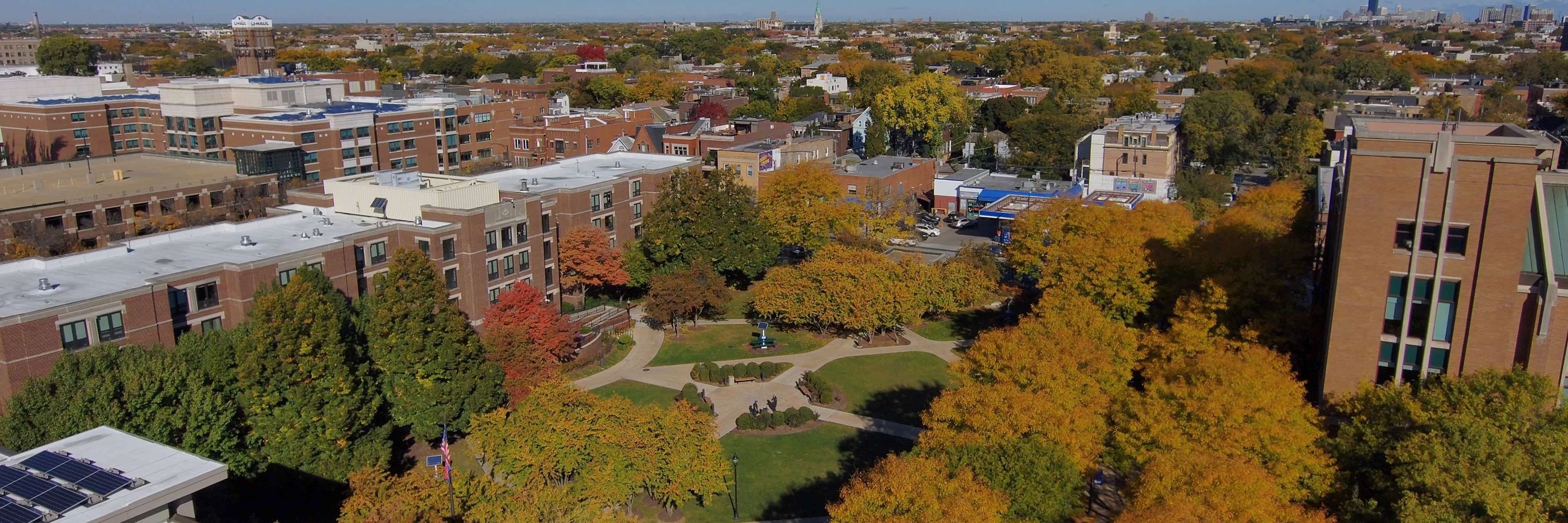 DePaul University