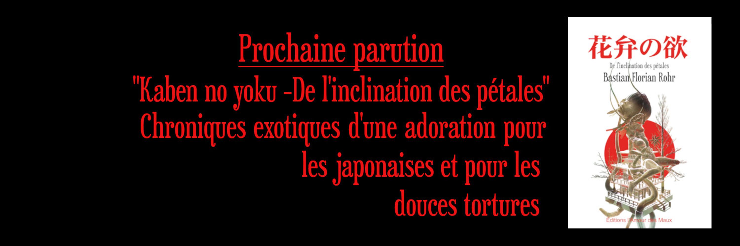 Éditions l'Amour des Maux