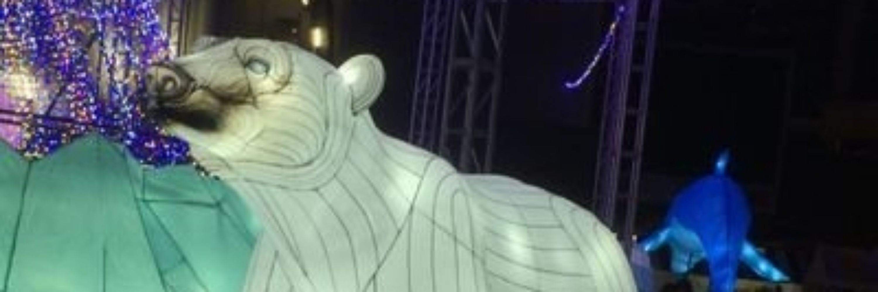 まあのすけ(旧)くまのすけ