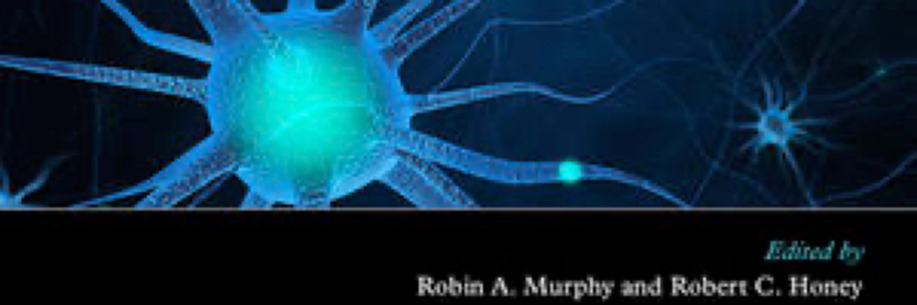 Robin Murphy