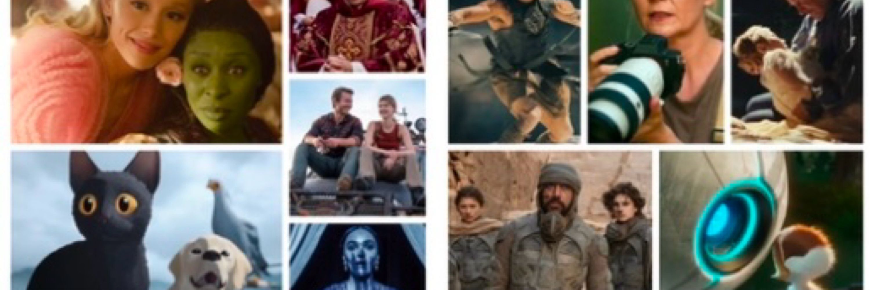 The Reelness: Movie Reviews and Entertainment News