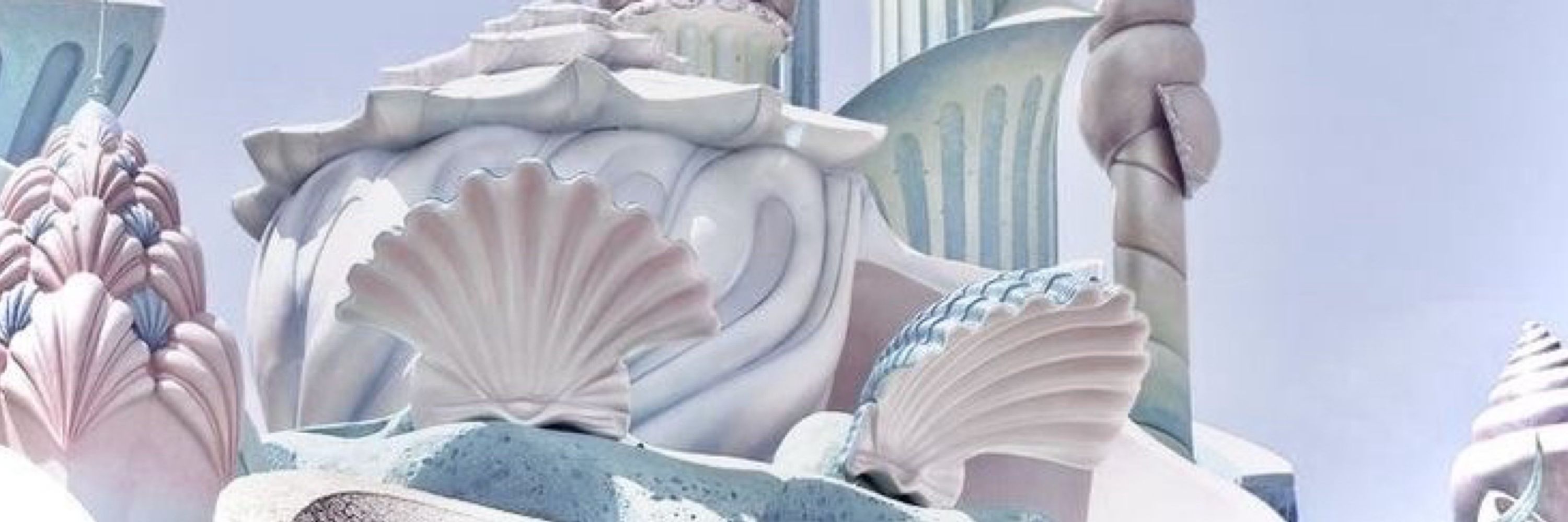 ani🐚