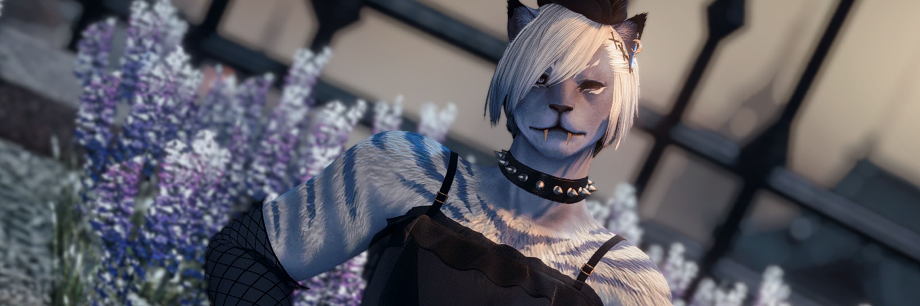 Aquila Duskmane