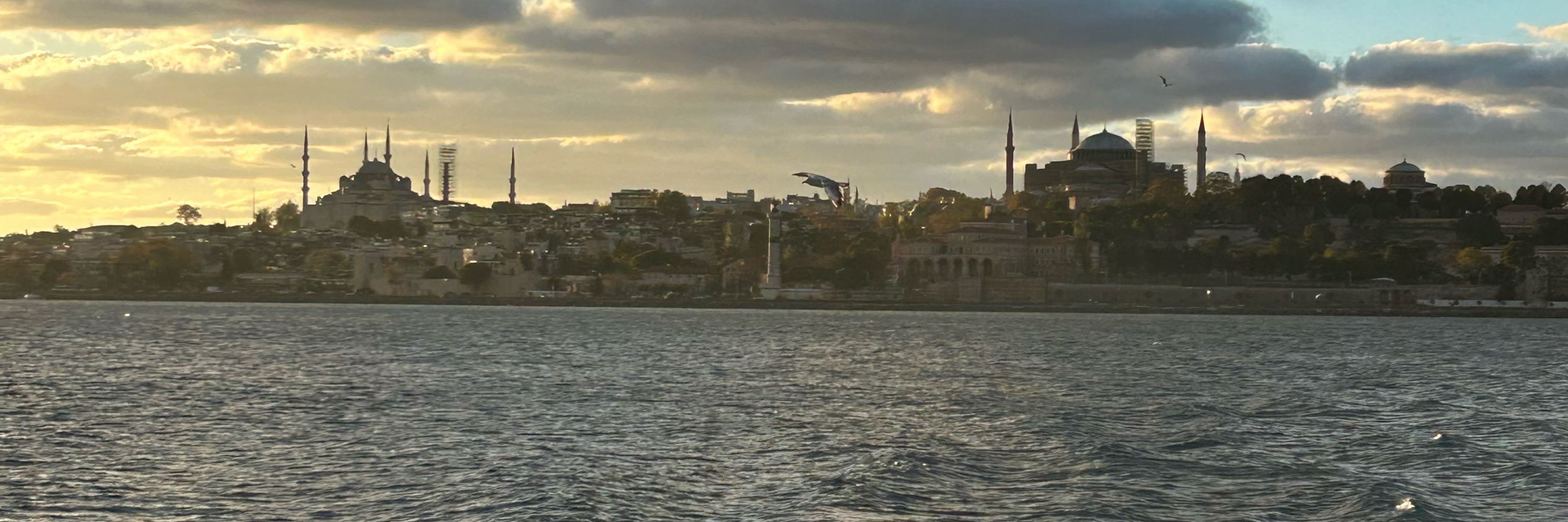 Asli Tekinay