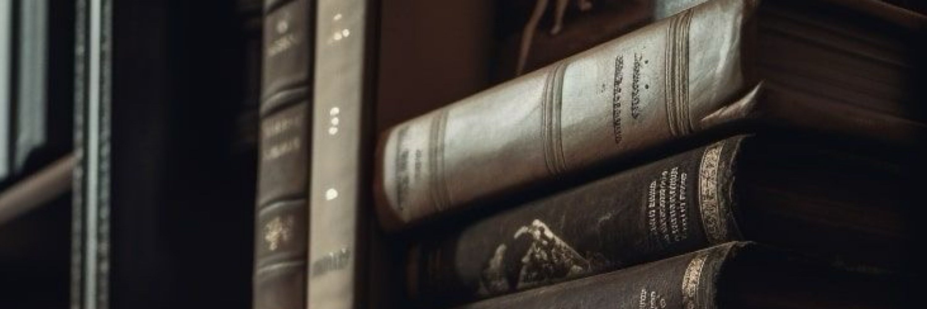 ⋆˖ ࣪⭑ gudin 📚