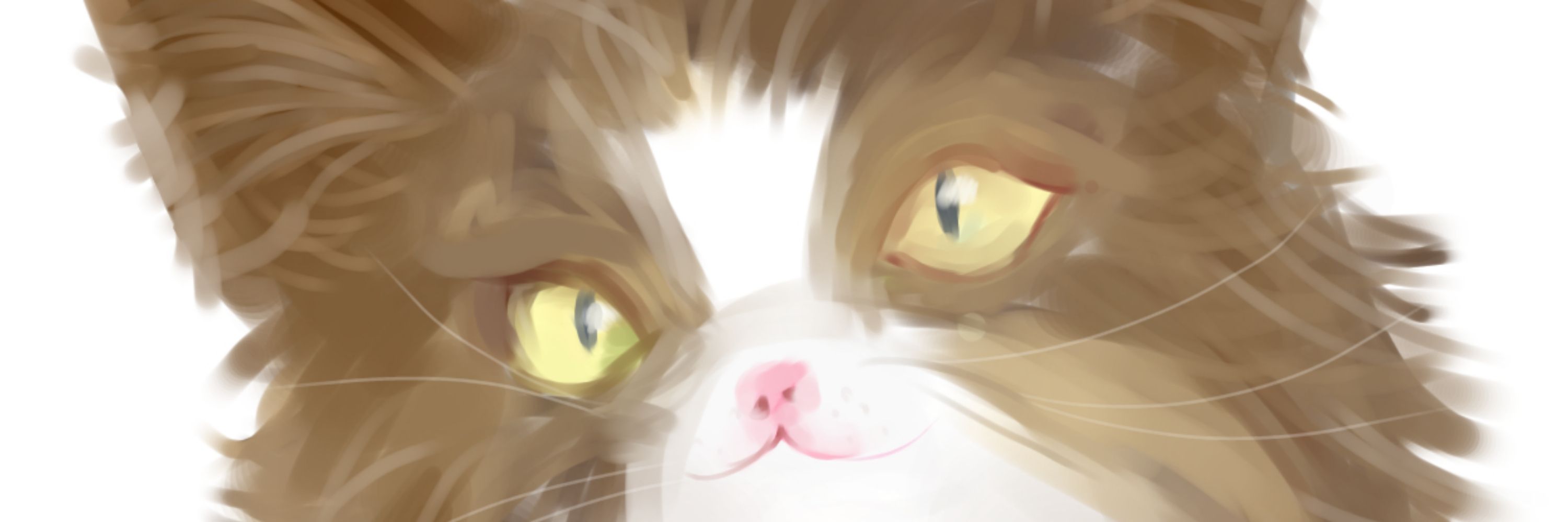 ゆゆ