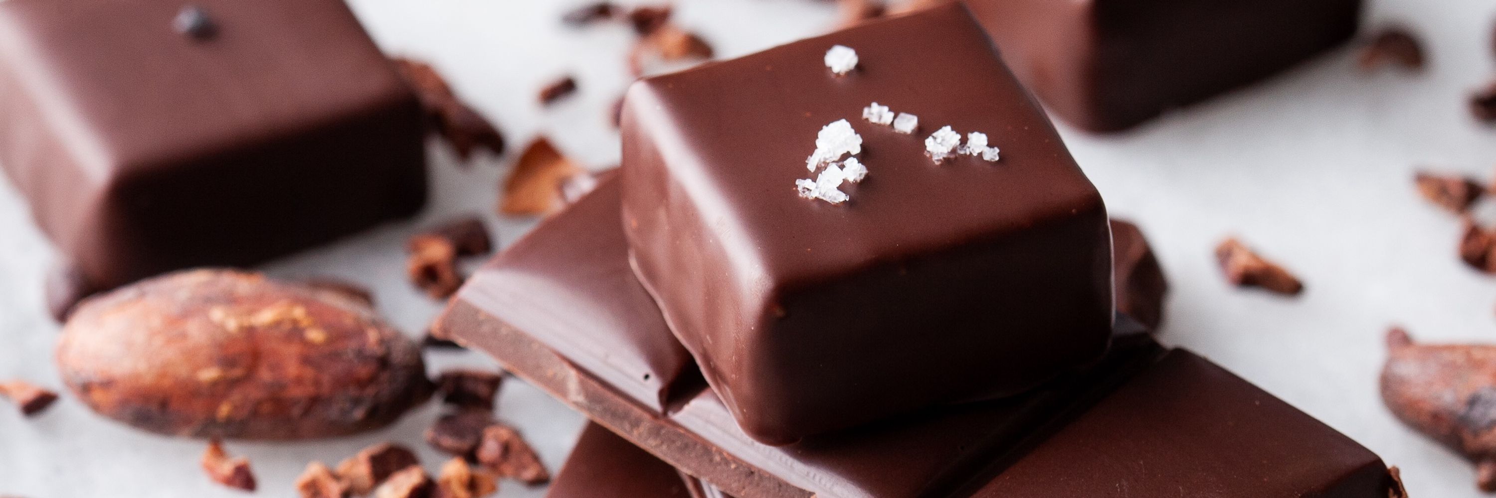 Ecole Chocolat Chocolate School