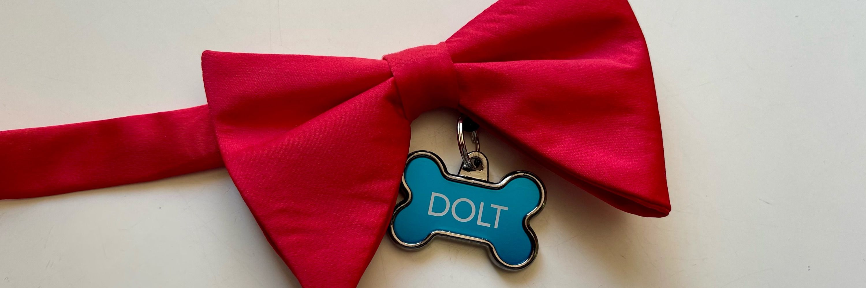 Pup Dolt, yes as in stupid