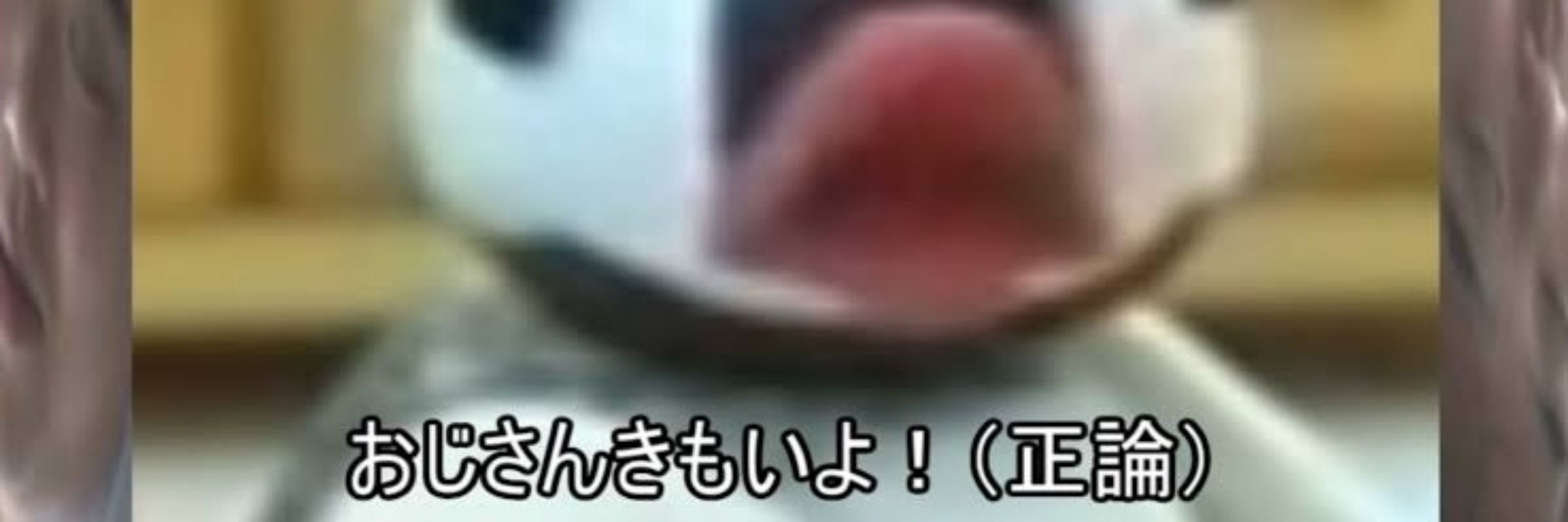 冬雅