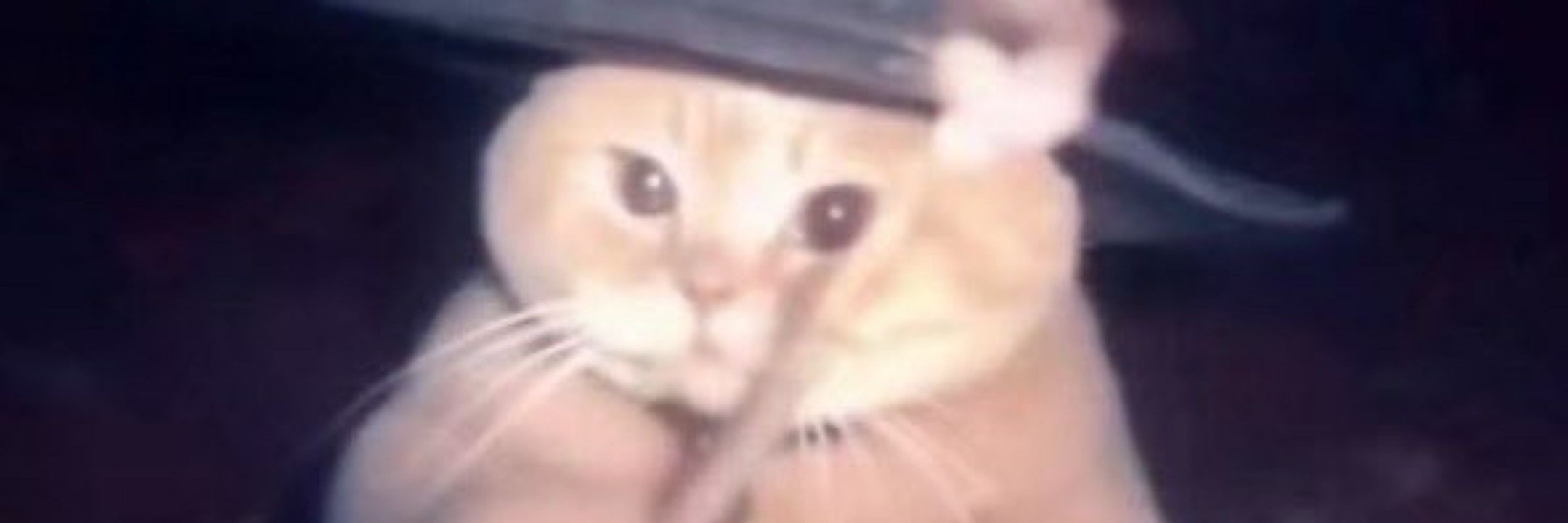 PIKABOO_x