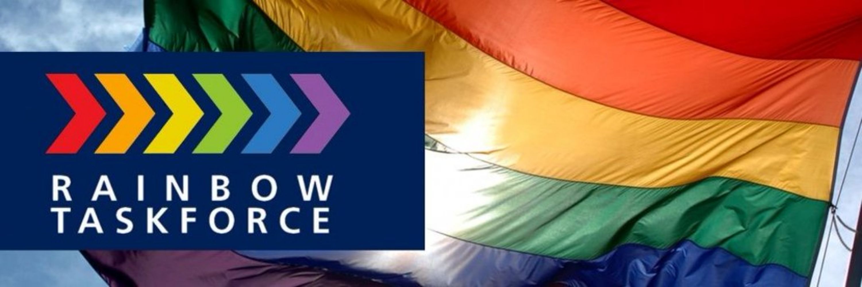🏳️‍🌈 Rainbow Taskforce