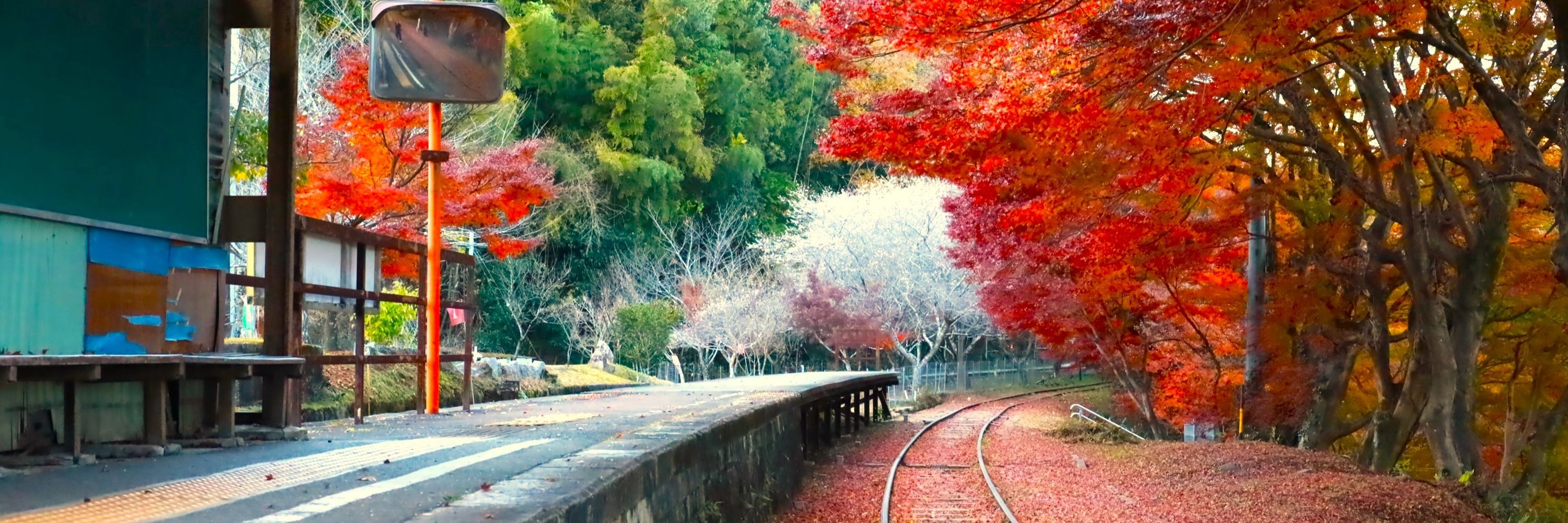 さとし📸