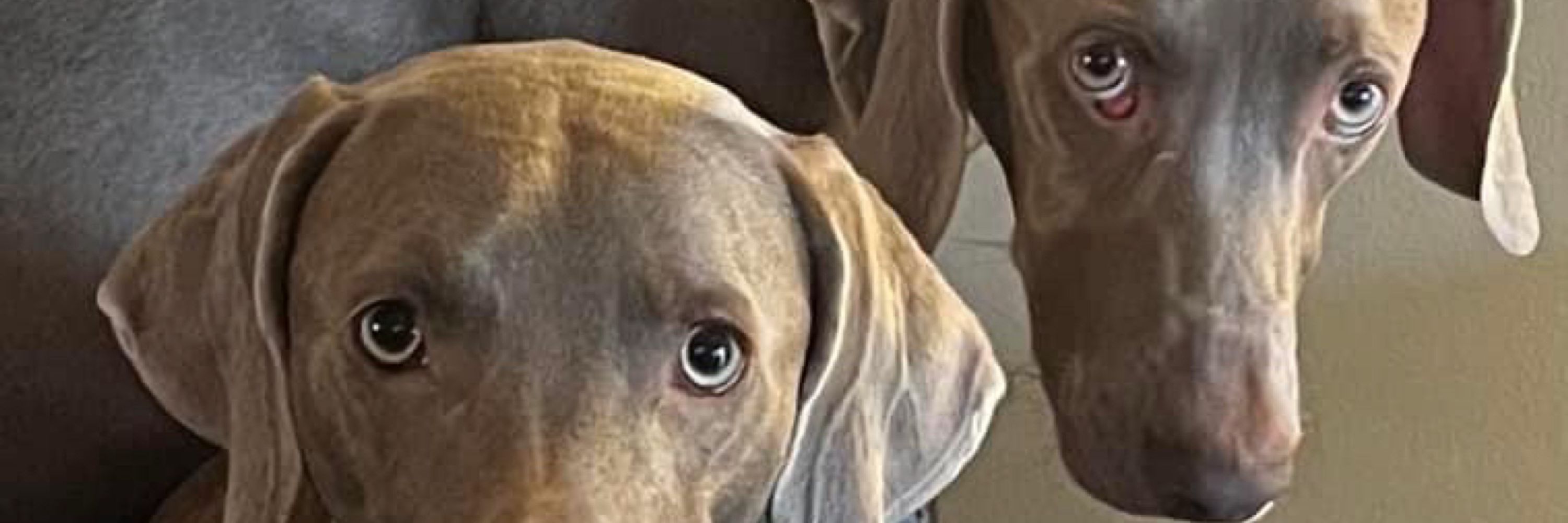Dawnie Weim Mom