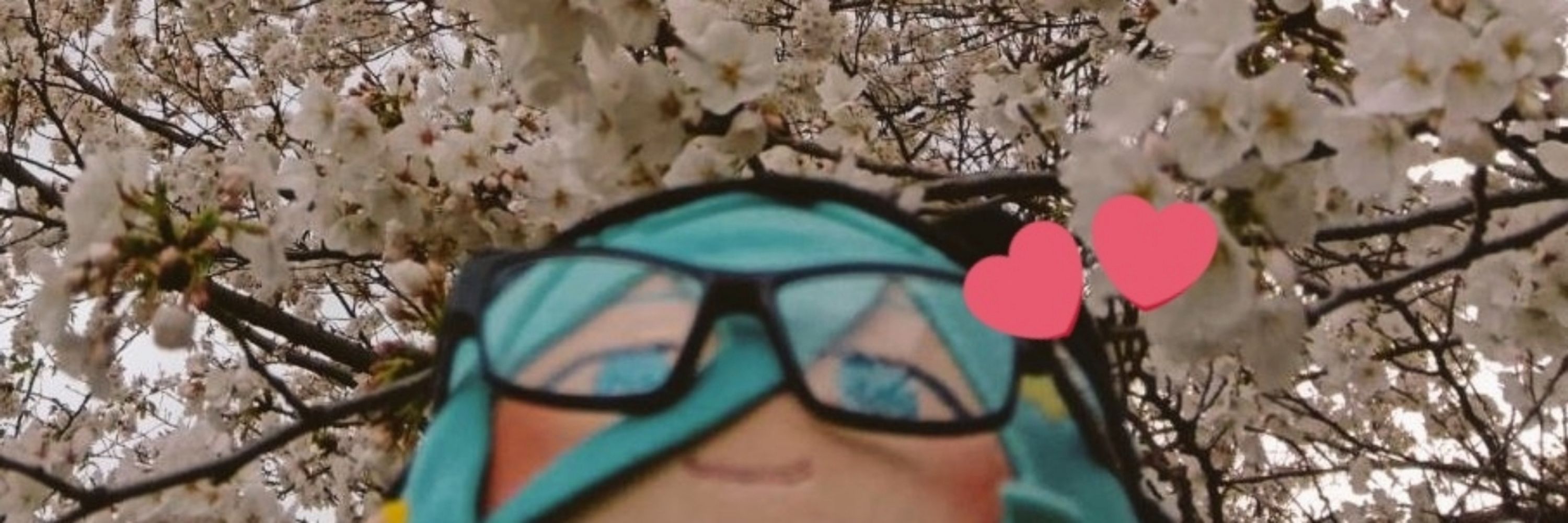 もりの