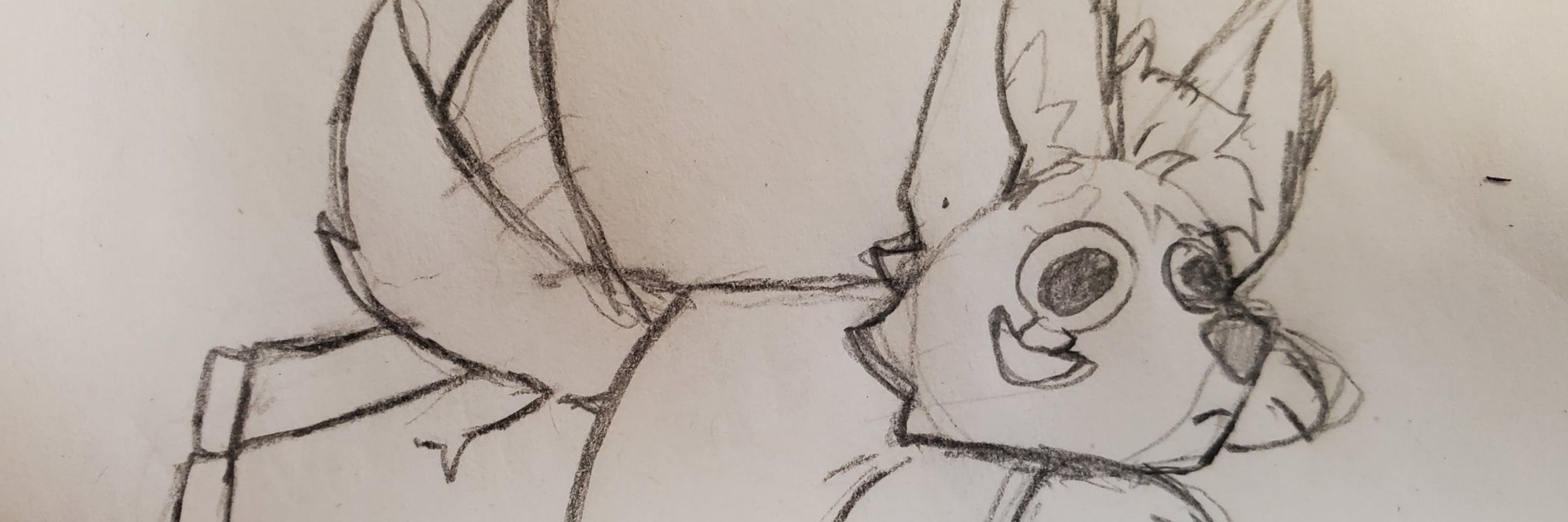 Brandon el fennec 